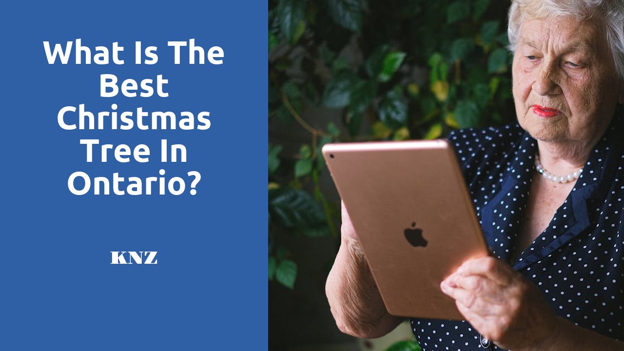 What is the best Christmas tree in Ontario?