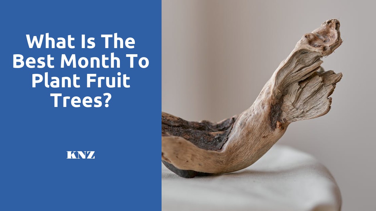 What is the best month to plant fruit trees?